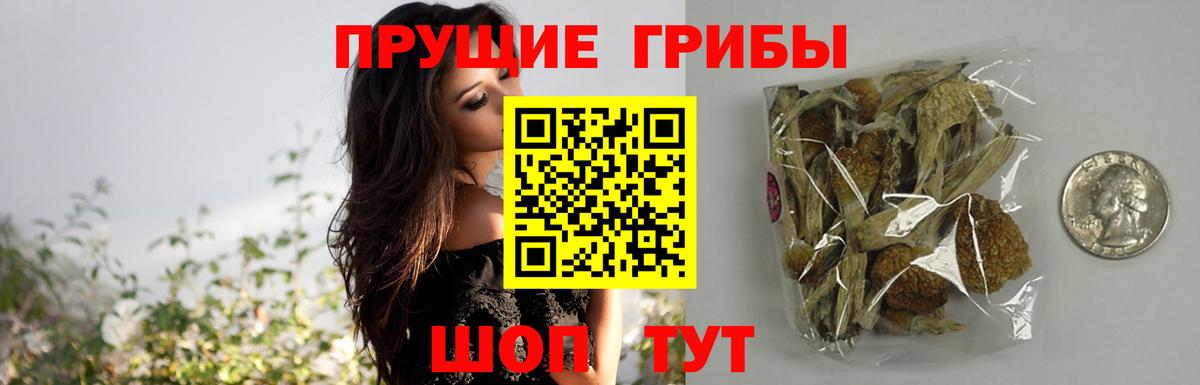 Галлюциногенные грибы MAGIC MUSHROOMS Сердобск